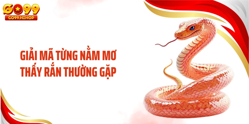 Giải mã từng nằm mơ thấy rắn thường gặp