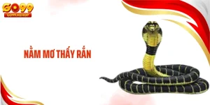 Nằm Mơ Thấy Rắn Có Ý Nghĩa Gì? Giải Mã Chi Tiết Giấc Mơ